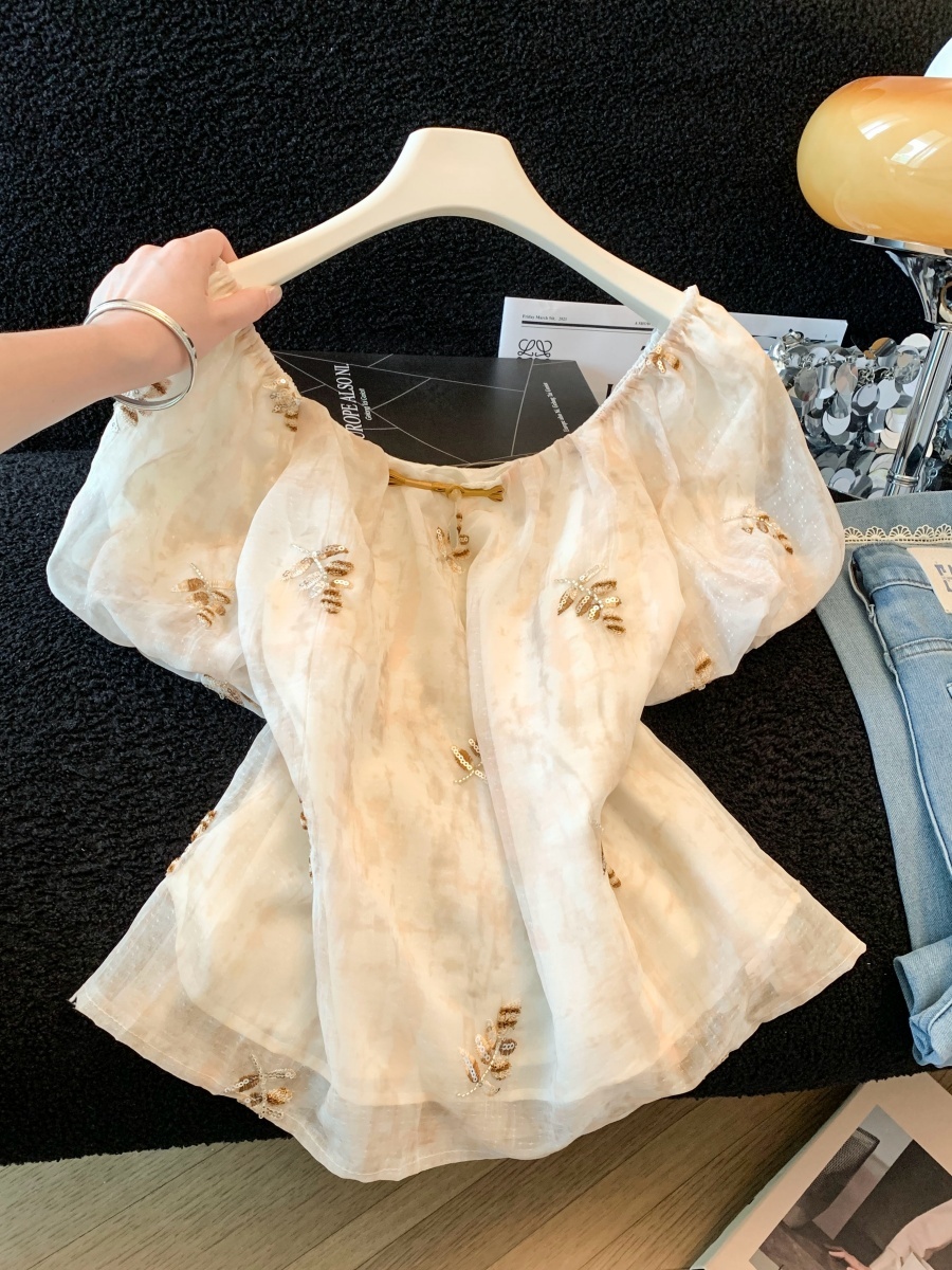 Beige Heavy Embroidery Sequin  – Embroidery Unique Design Bewertung und Preis