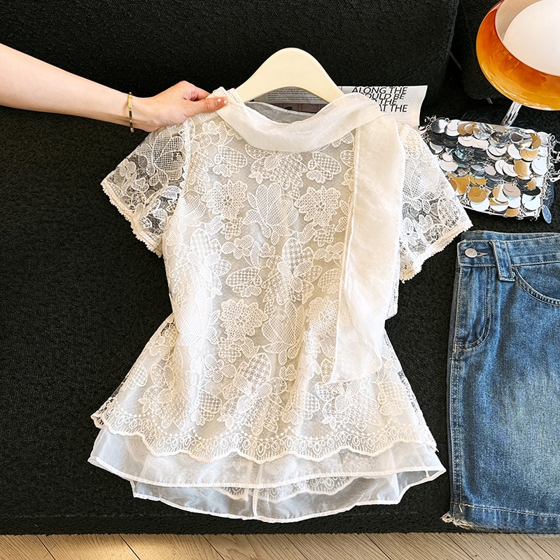 Elegant Lace Shirt Hollow out  – Embroidery Unique Design Bewertung und Preis