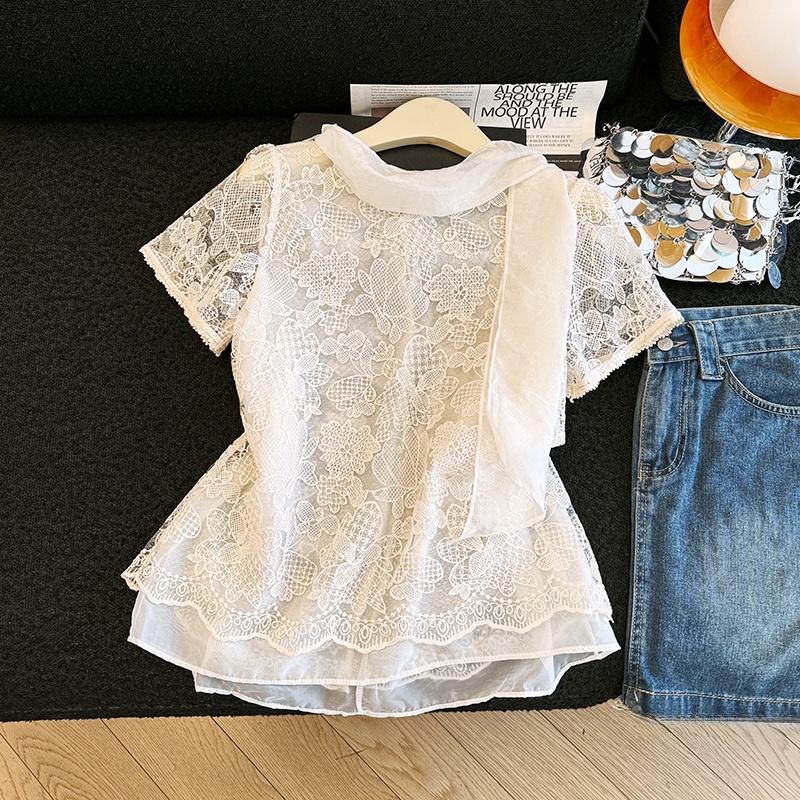 Elegant Lace Shirt Hollow out  – Embroidery Unique Design Bewertung und Preis