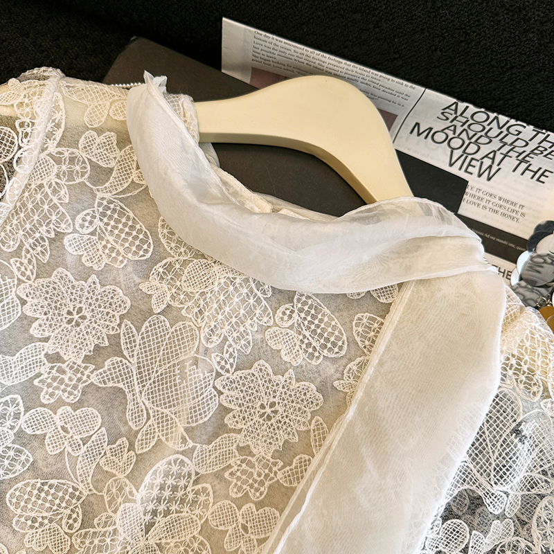 Elegant Lace Shirt Hollow out  – Embroidery Unique Design Bewertung und Preis